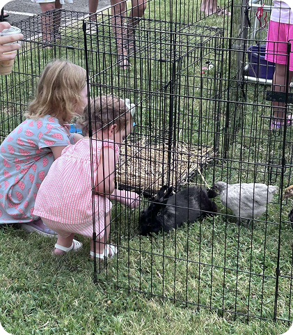 Children visiting farm animals in a petting zoo enclosure