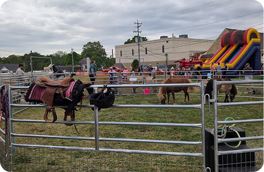 Mobile Petting Zoo & Pony Rides