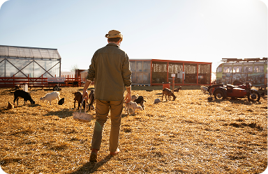 Livestock Transportation