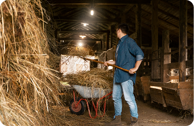 Hay Distribution