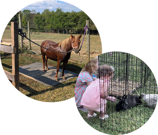 Pony at an event and children visiting animals in a petting zoo pen